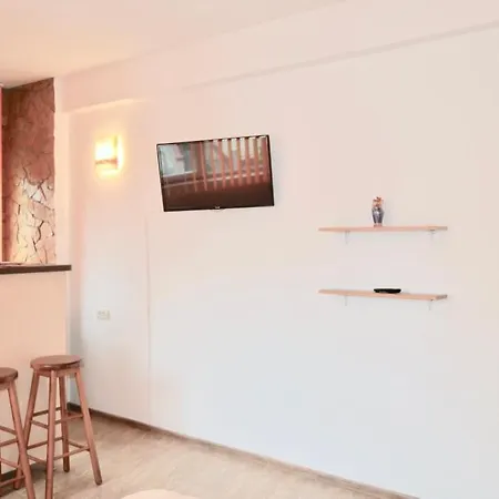 Apartament/studio Andrei 公寓